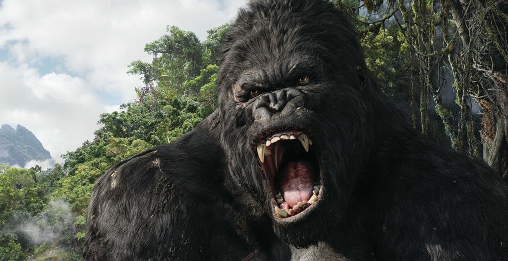 Nov King Kong bude prequel