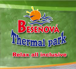 Kinema Film roka 2008 už o pár dní