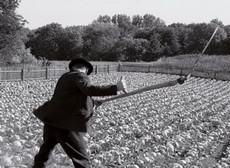 Bohat roda kvalitnch filmov na Febiofeste 2010