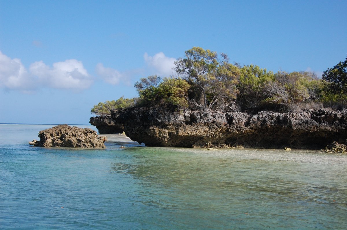 Aldabra: Bol raz jeden ostrov 